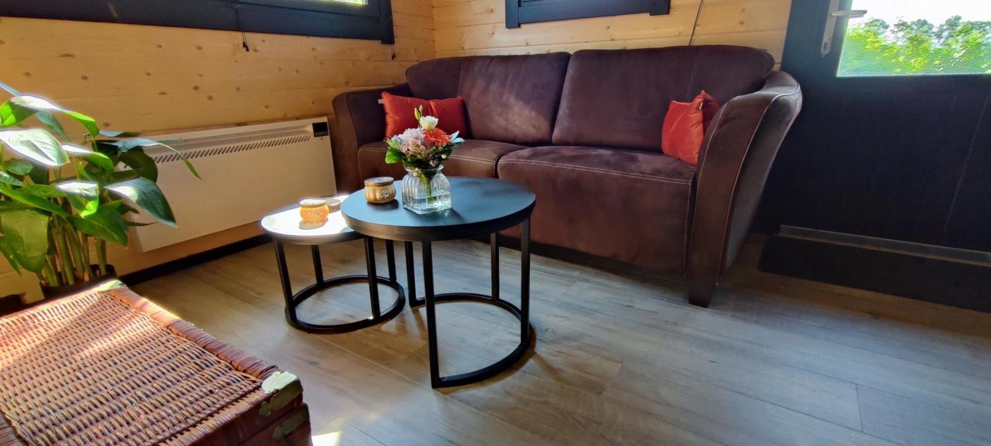 Chalet In Het Groen Met Airco Drachtstercompagnie Exterior photo